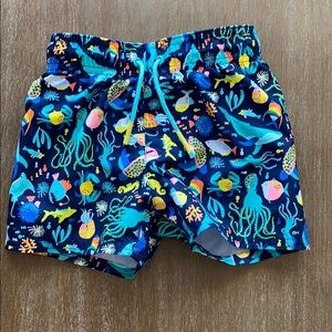Infant Boys Swim Trunks